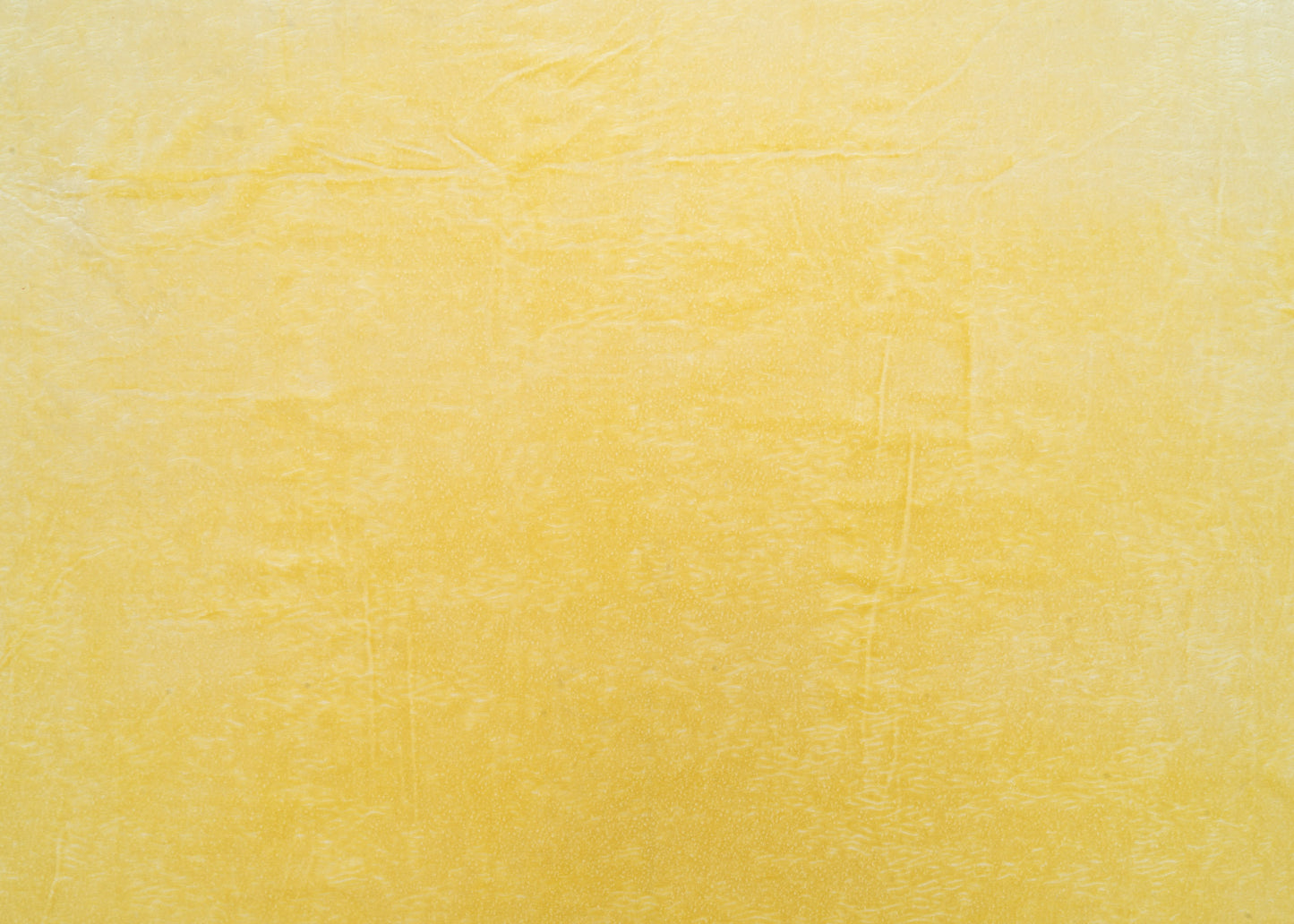 The All Over You Velvet Fabric in Butter || Yardage