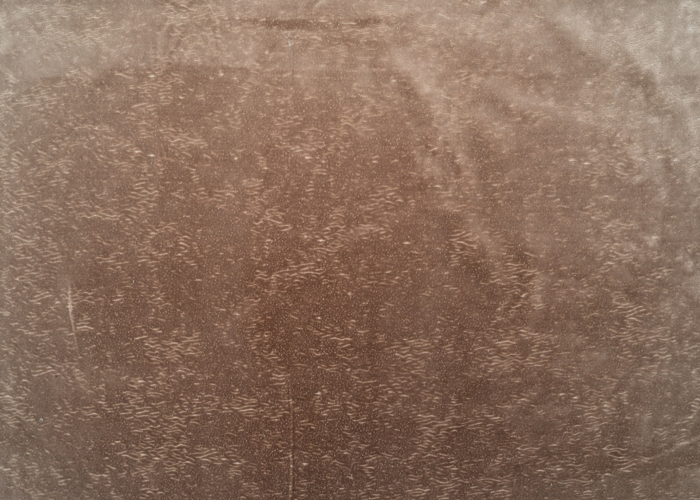 The All Over You Velvet Fabric in Caramel || Yardage