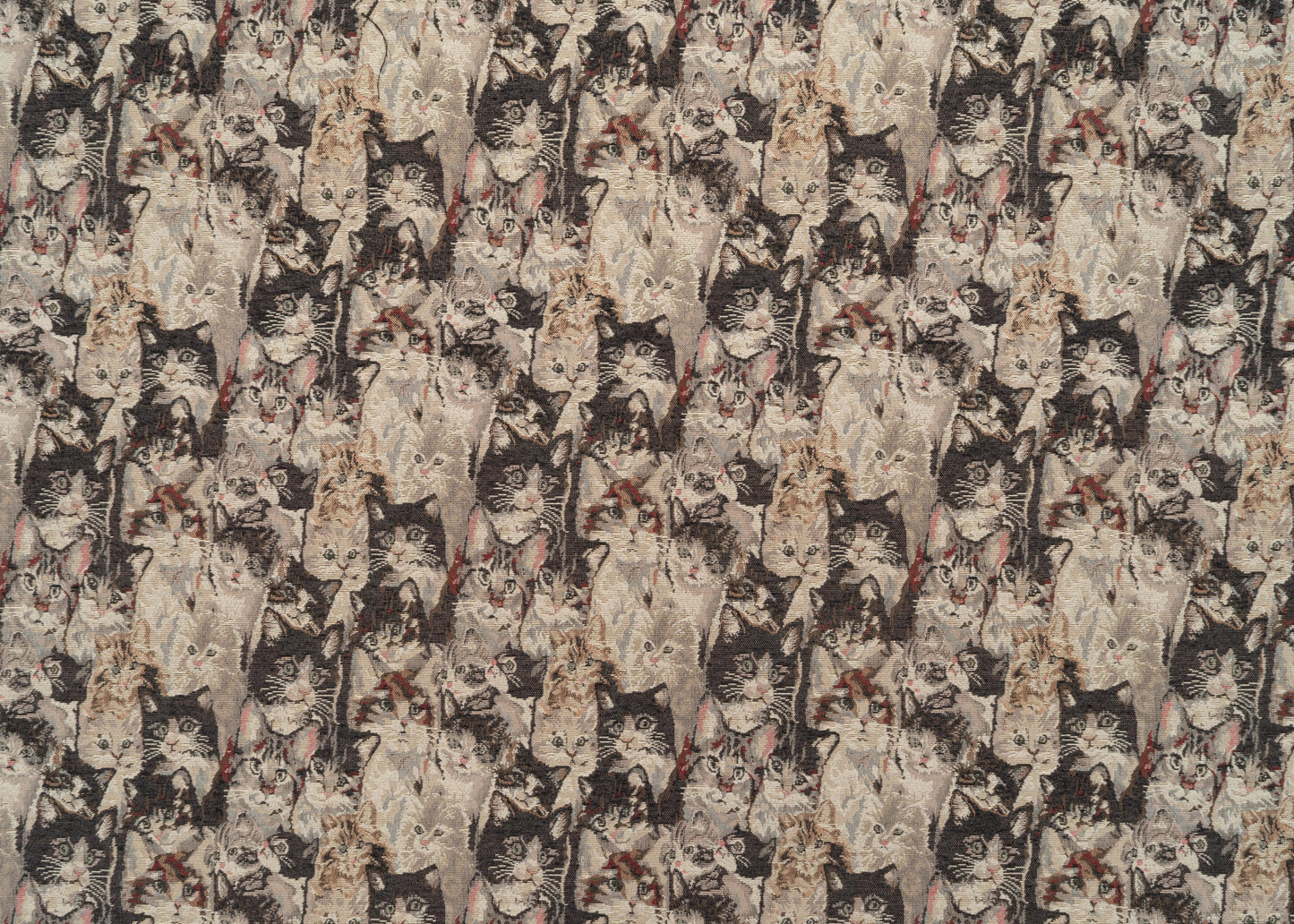 The Cats Meow Fabric in Calico || Yardage
