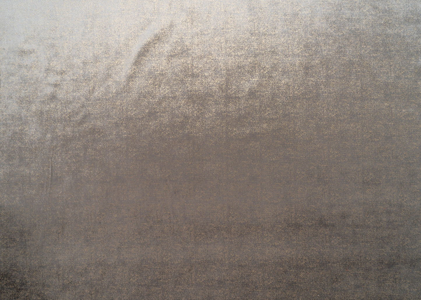 The Shock Velvet Fabric in Minky || Yardage