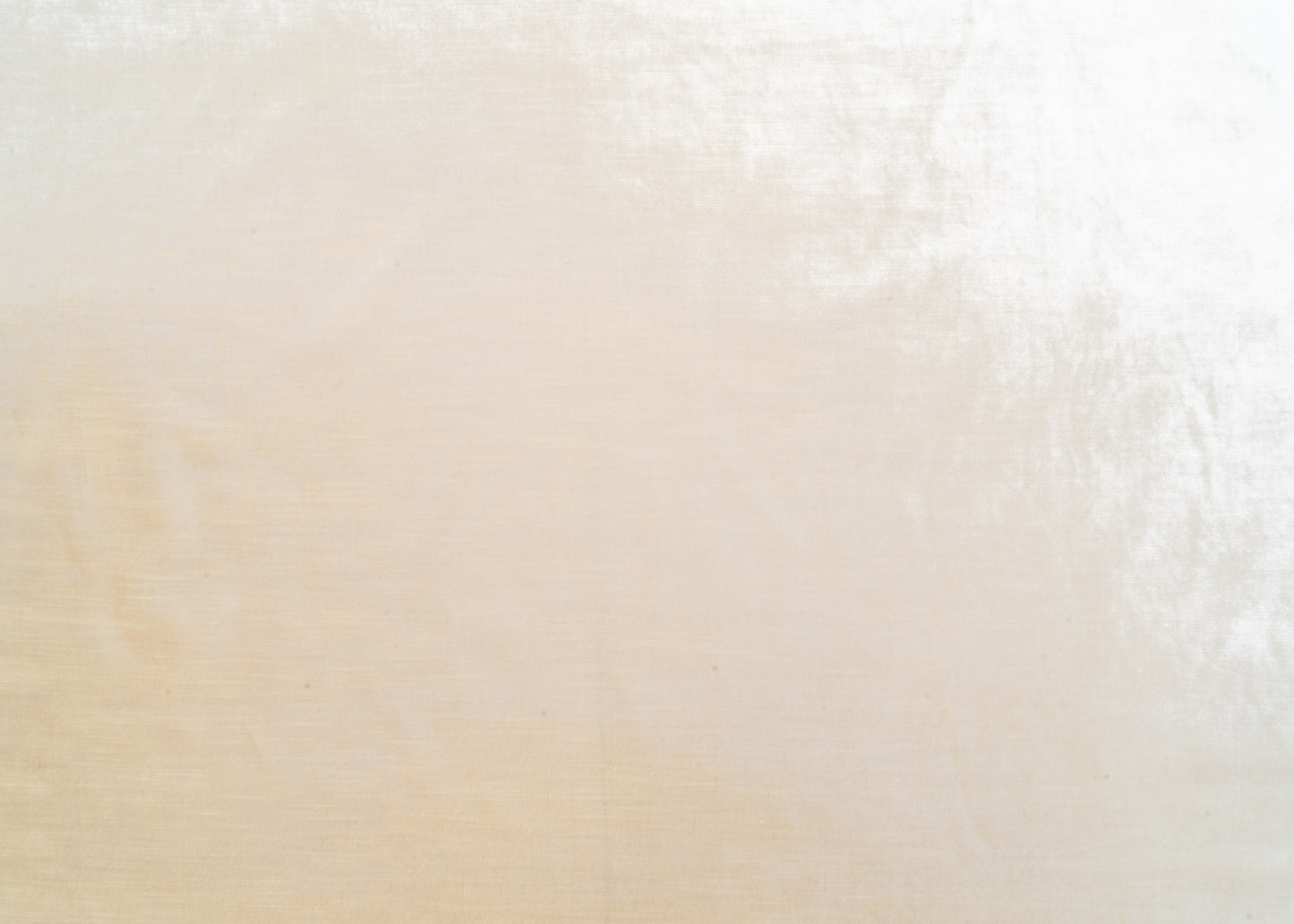 The Trophy Velvet Fabric in Ivory || Yardage