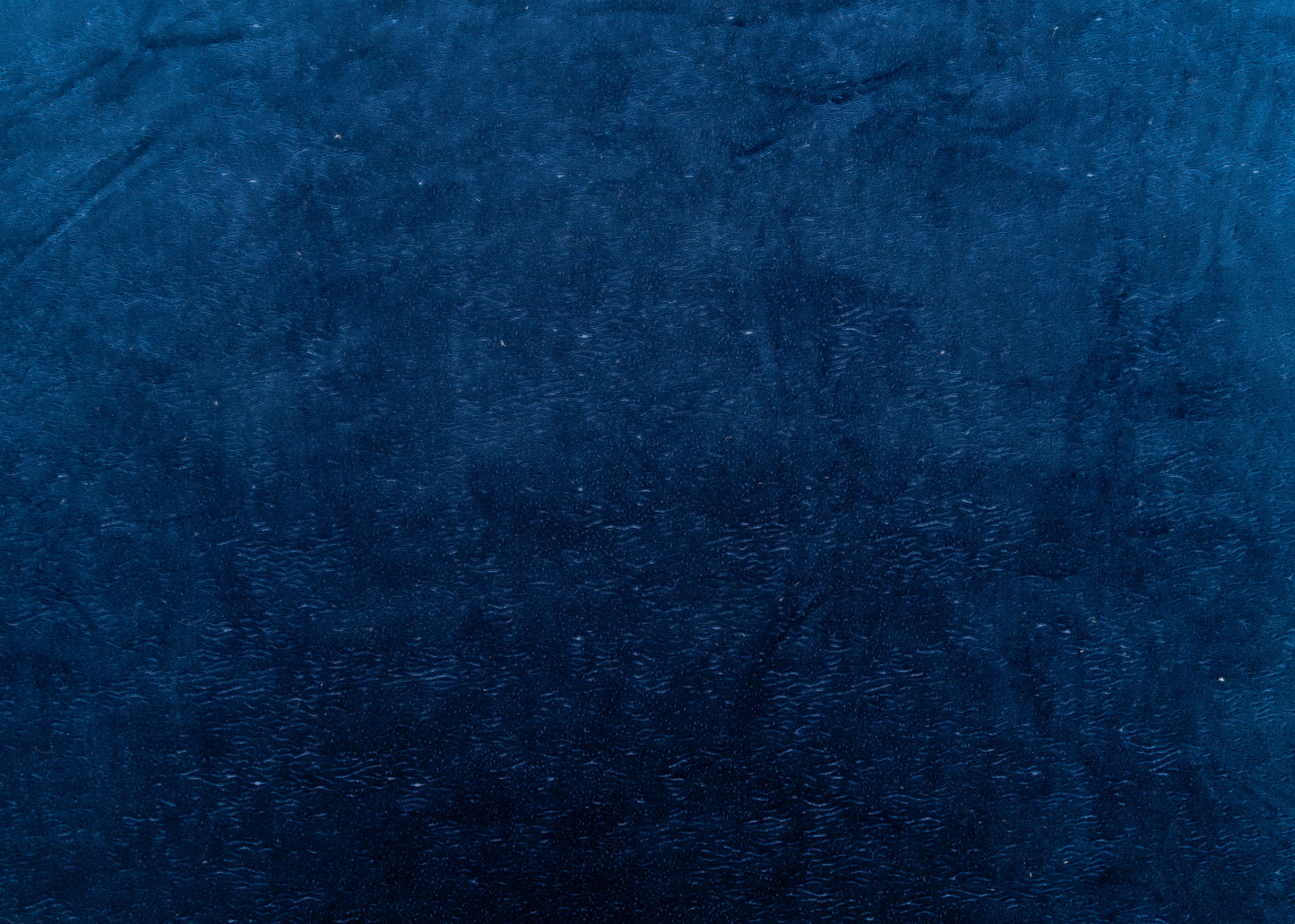 The All Over You Velvet Fabric in Blueberry || Yardage