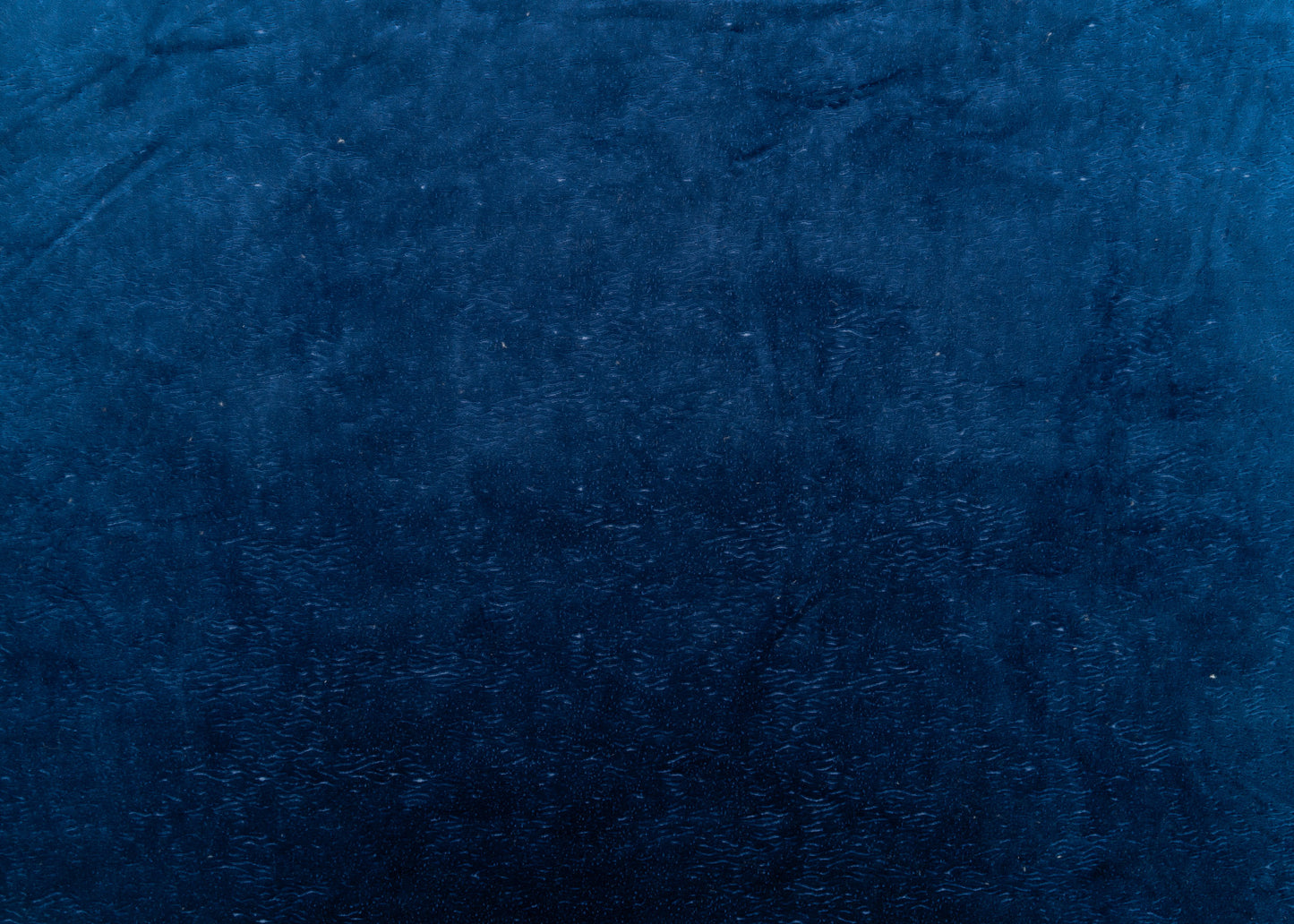 The All Over You Velvet Fabric in Blueberry || Yardage