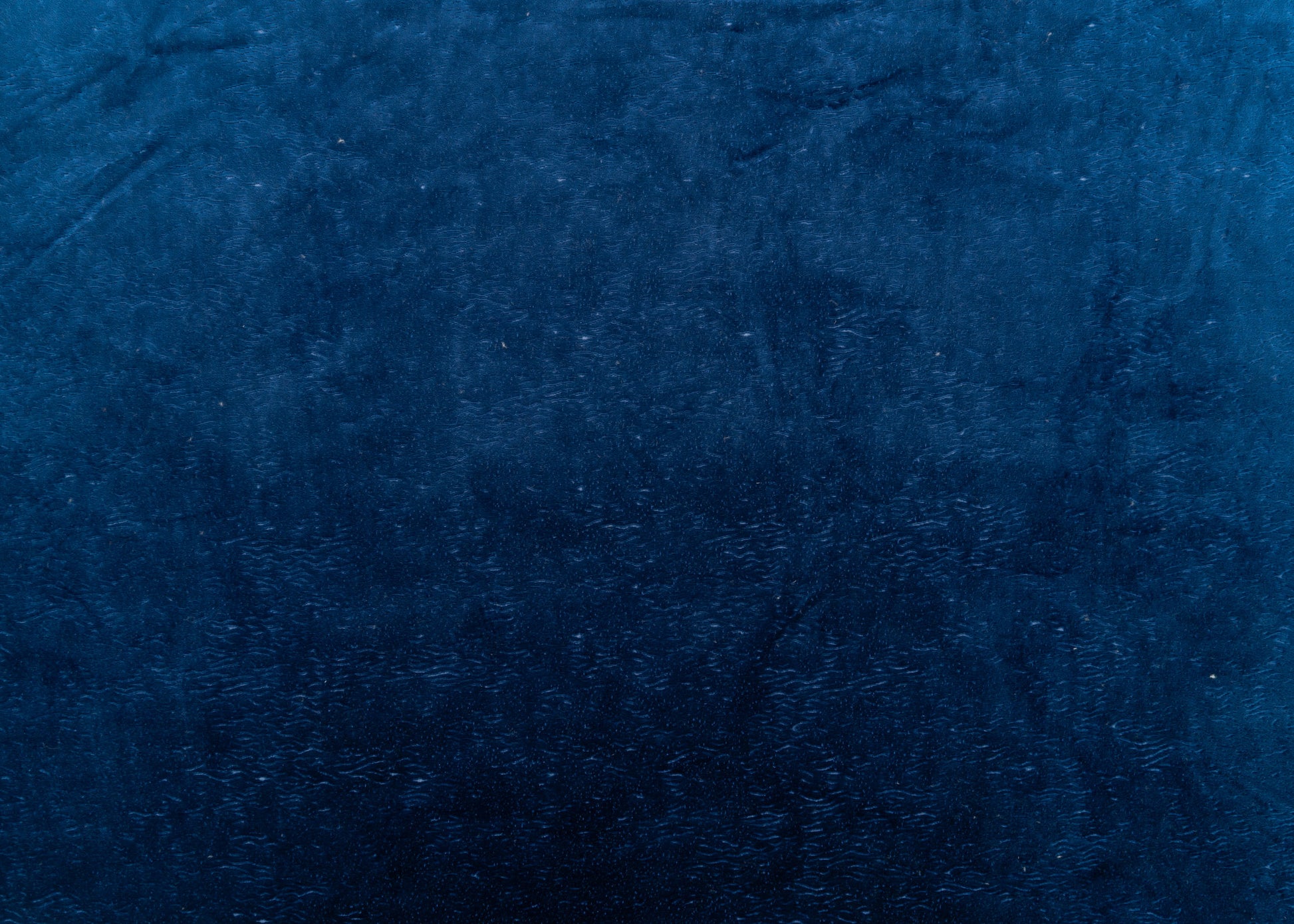 The All Over You Velvet Fabric in Blueberry || Yardage