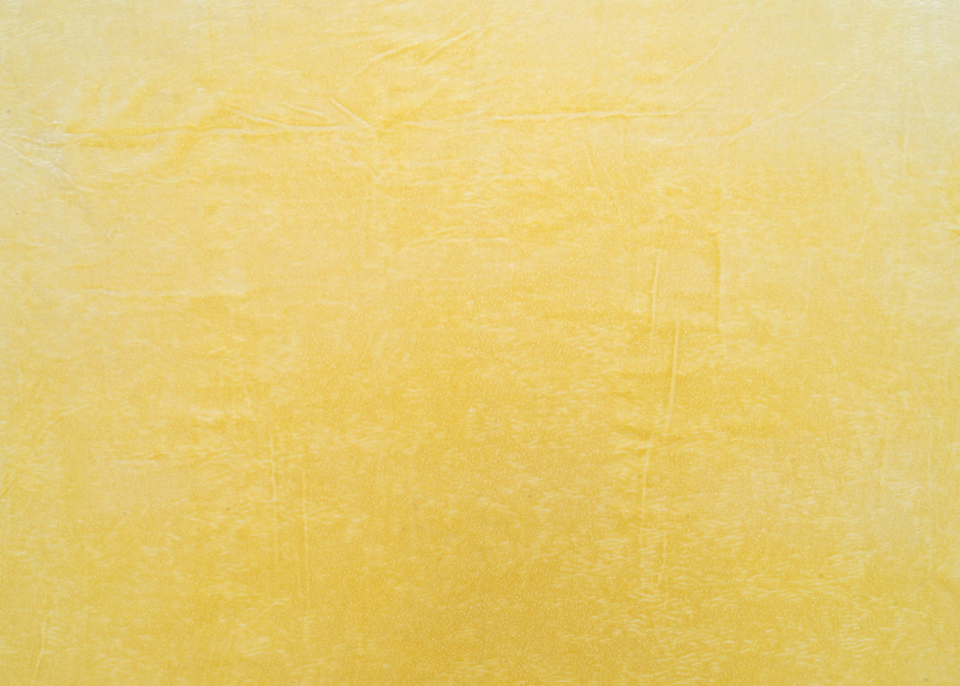 The All Over You Velvet Fabric in Butter || Yardage