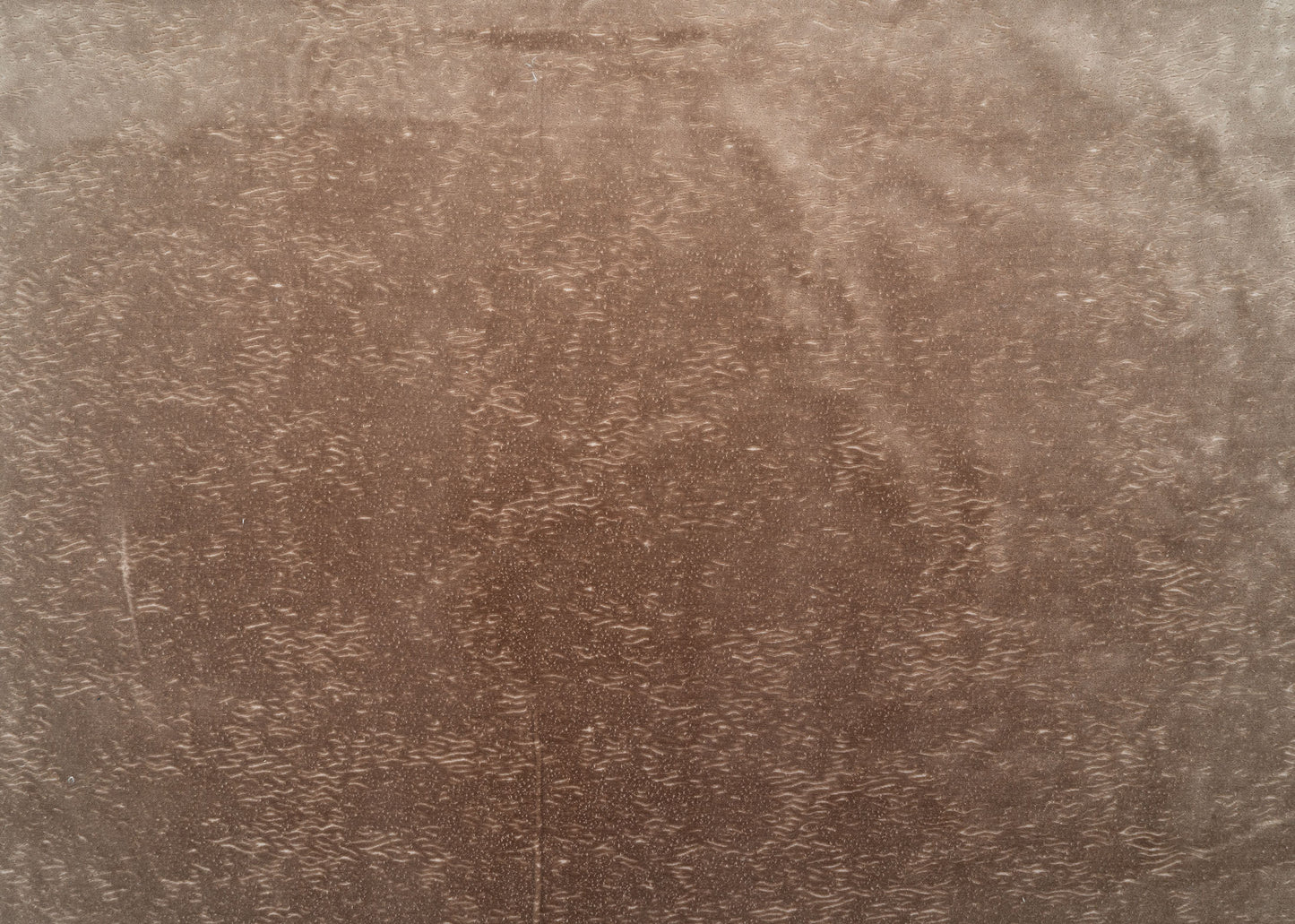 The All Over You Velvet Fabric in Caramel || Yardage
