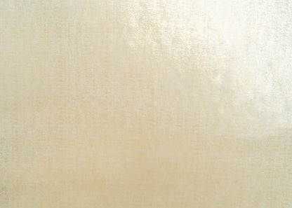 The Awe Velvet Fabric in Champs || Yardage