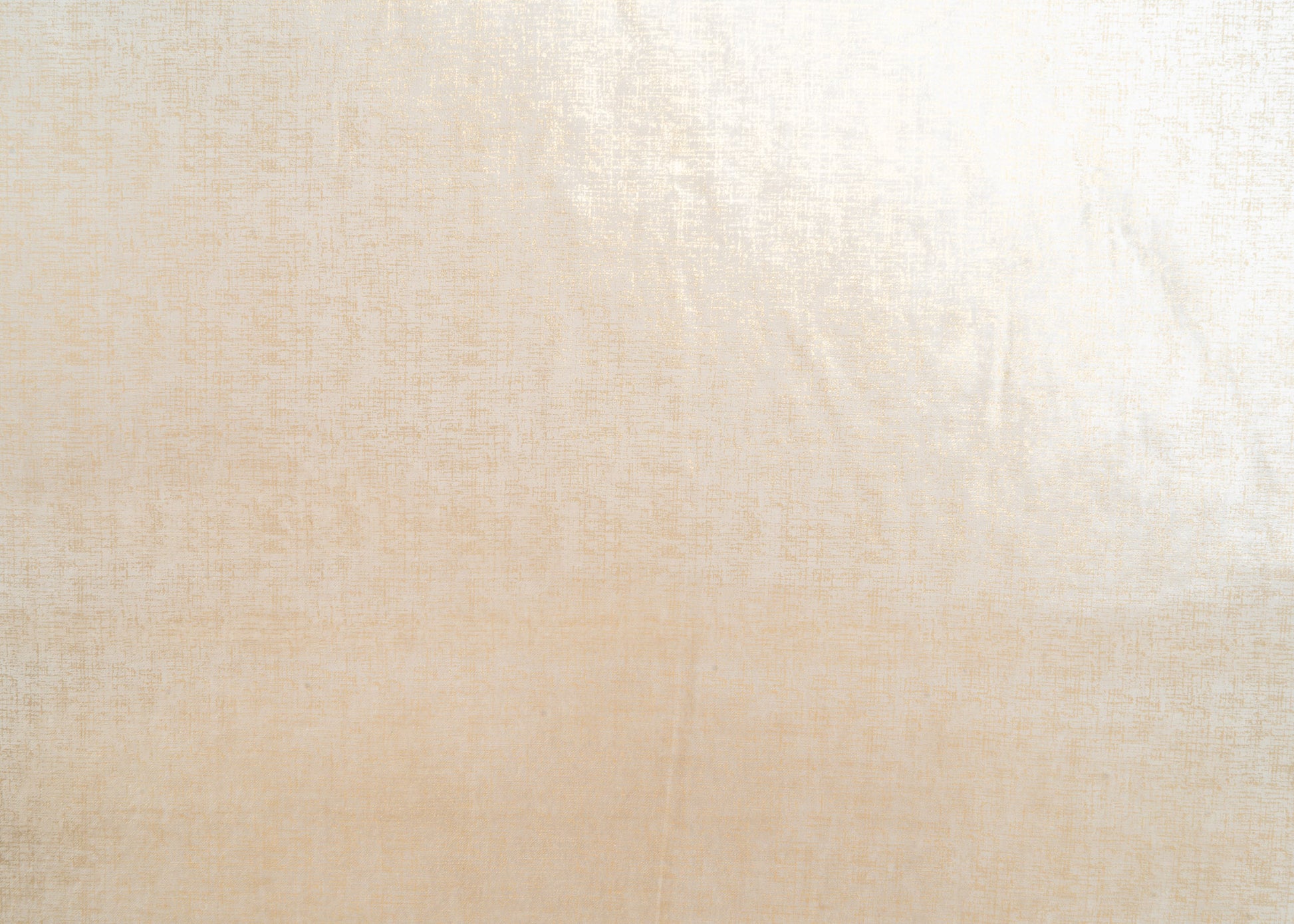 The Awe Velvet Fabric in Champs || Yardage