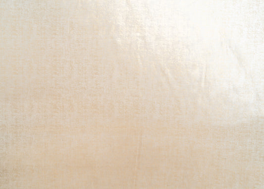 The Awe Velvet Fabric in Champs || Yardage