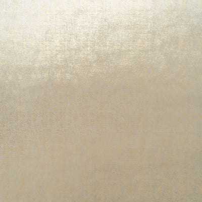The Awe Velvet Fabric in Golden Taupe || Close Up