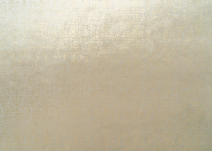 The Awe Velvet Fabric in Golden Taupe || Yardage