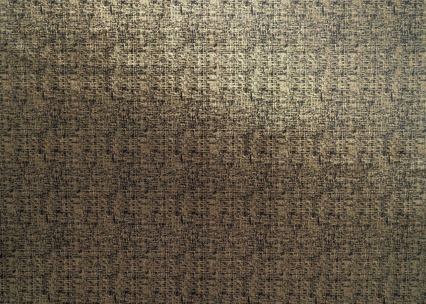 The Awe Velvet Fabric in Jet || Yardage