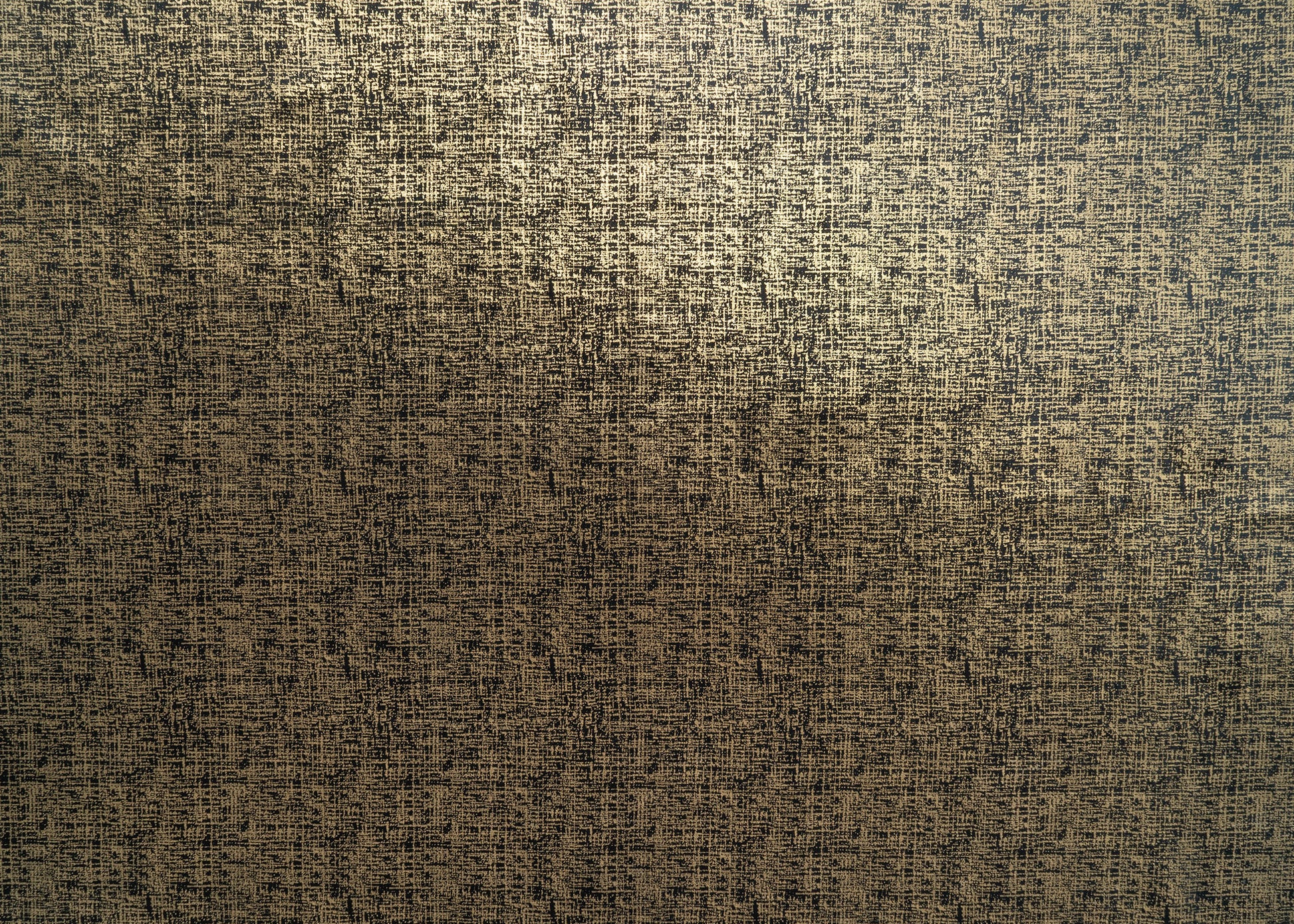 The Awe Velvet Fabric in Jet || Yardage
