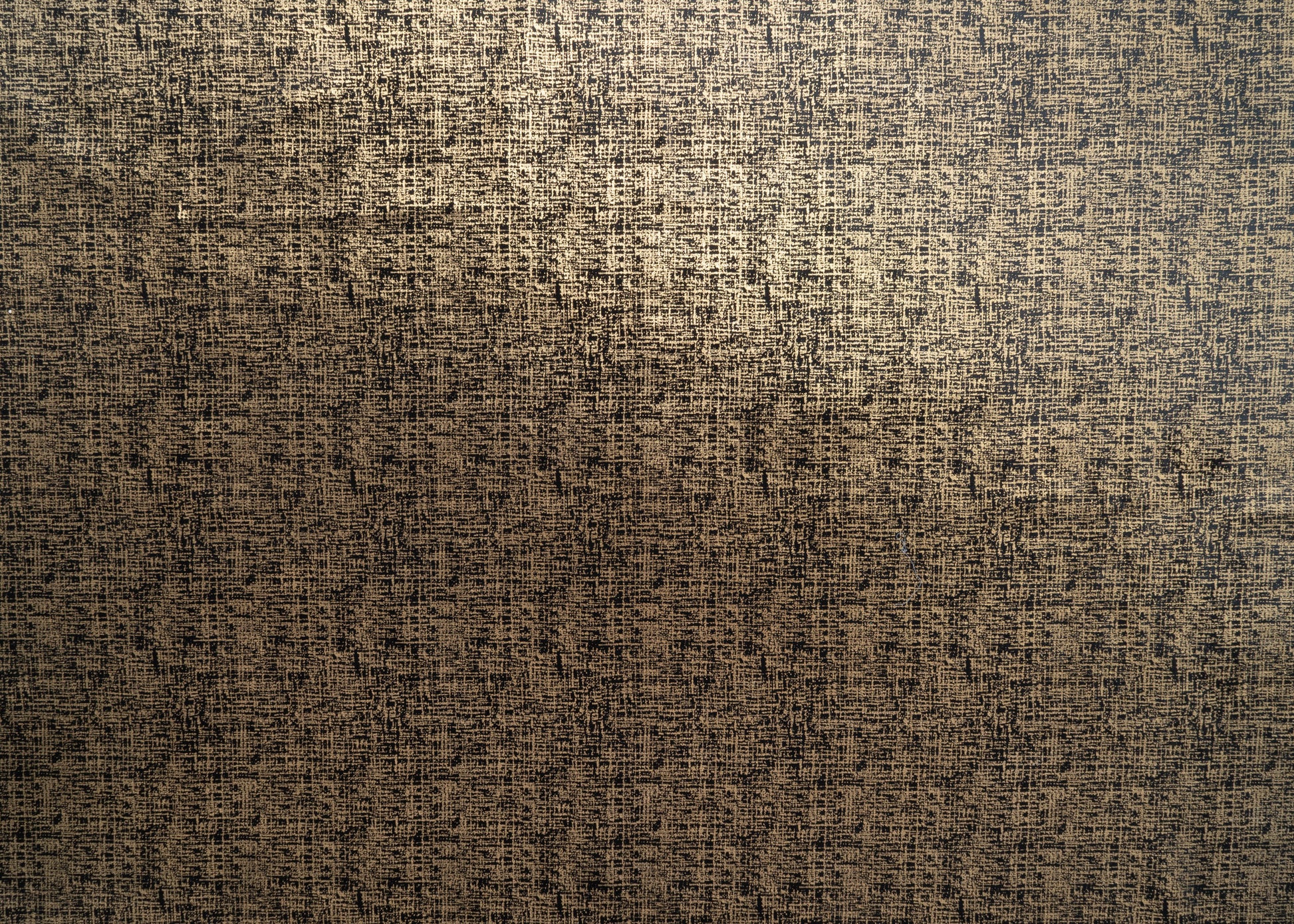 The Awe Velvet Fabric in Jet || Yardage