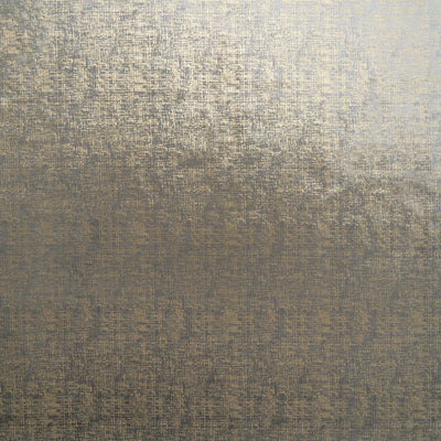 The Awe Velvet Fabric in Minky || Close Up