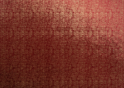 The Awe Velvet Fabric in Ruby || Yardage