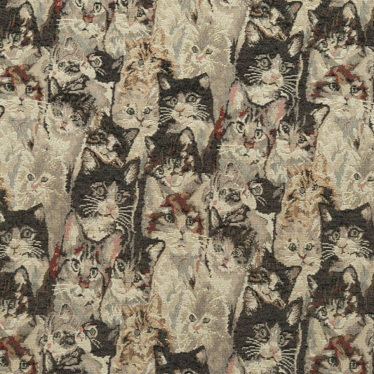 The Cats Meow Fabric in Calico || Close Up