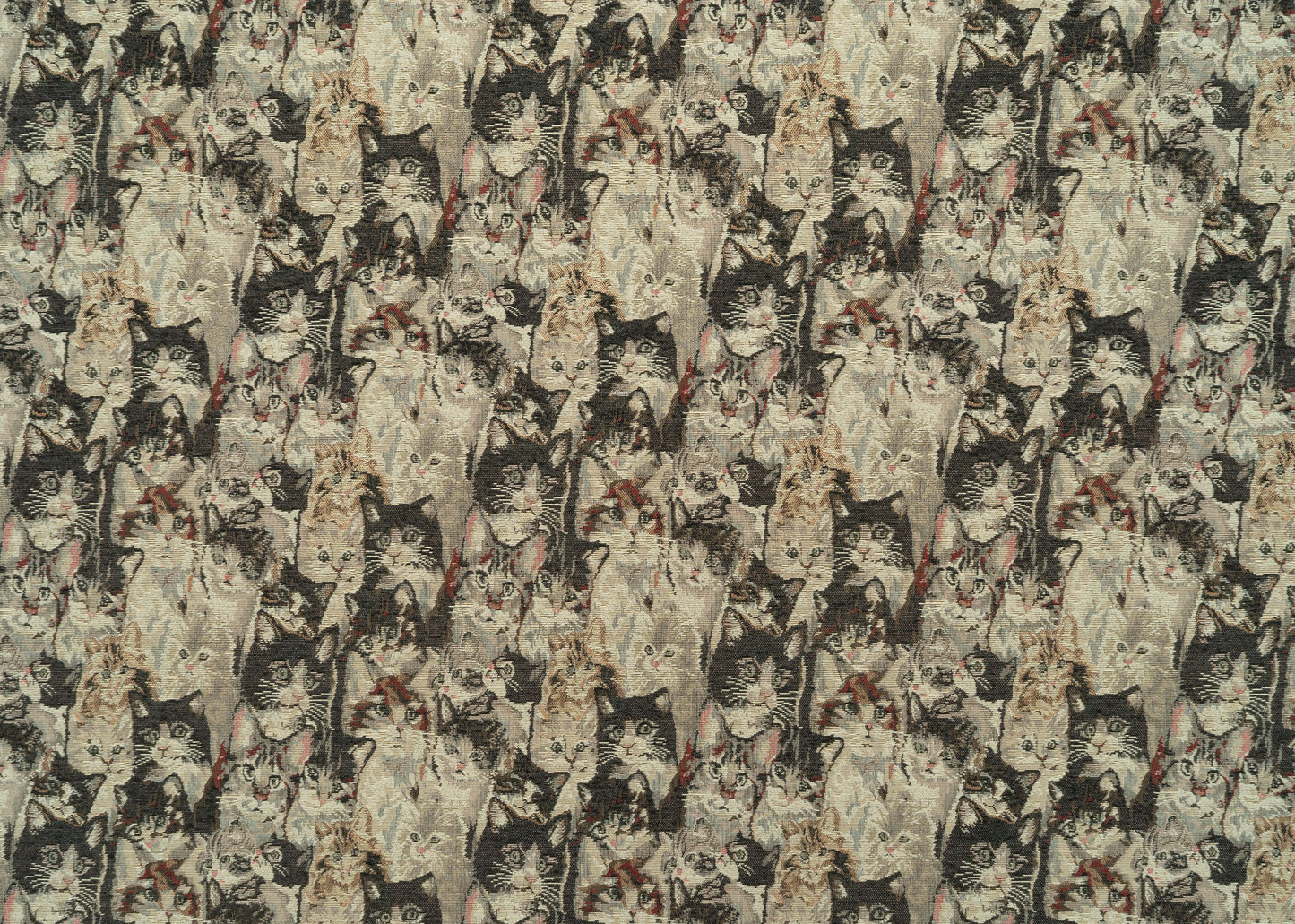 The Cats Meow Fabric in Calico || Yardage