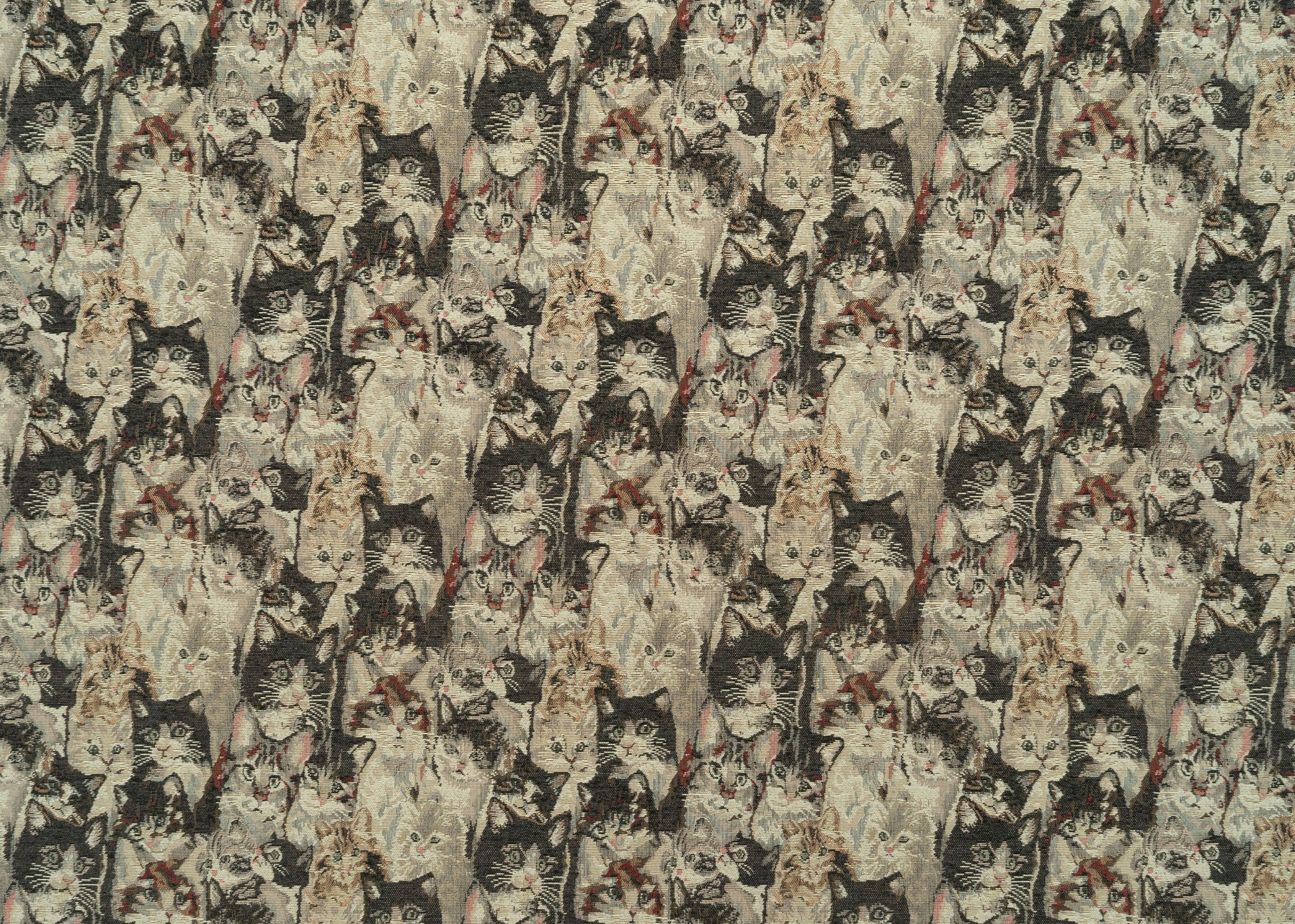 The Cats Meow Fabric in Calico || Yardage