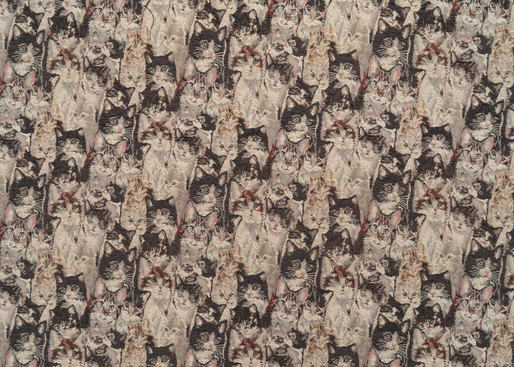 The Cats Meow Fabric in Calico || Yardage