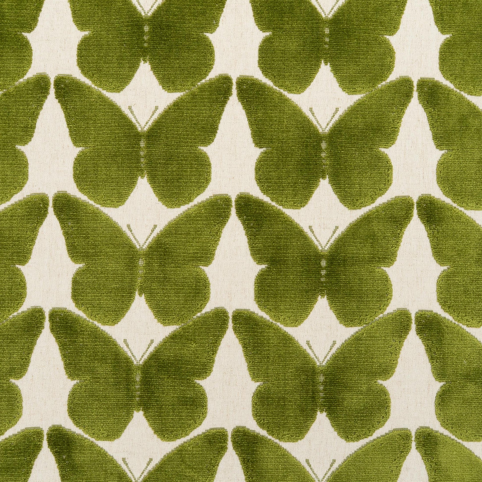 The Coleous Fabric in Kiwi || Close Up