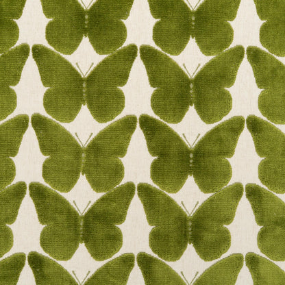 The Coleous Fabric in Kiwi || Close Up