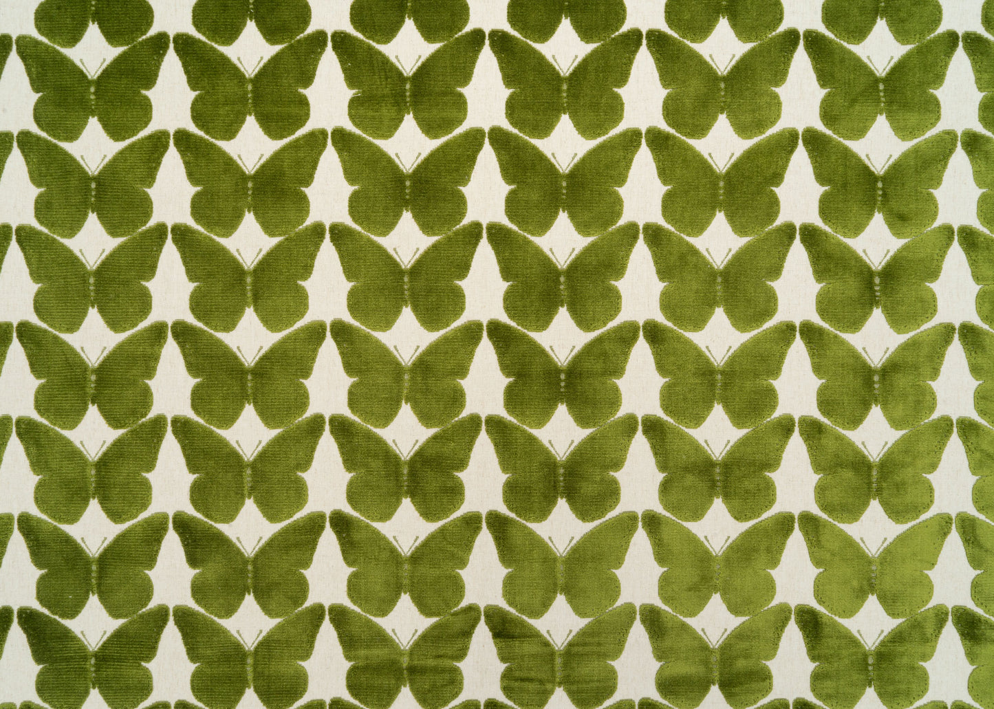 The Coleous Fabric in Kiwi || Yardage