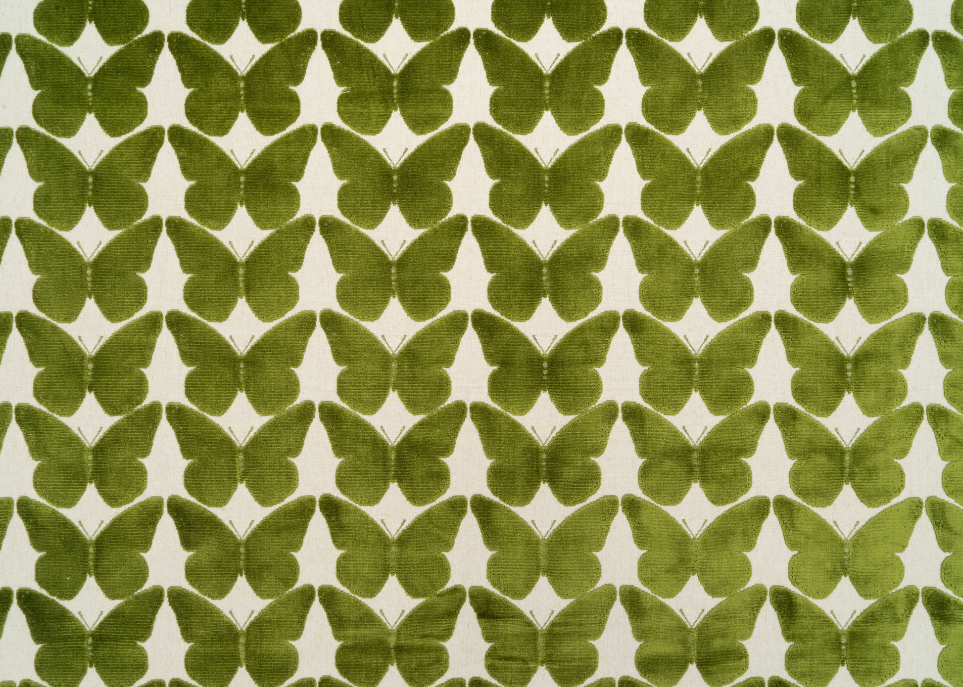 The Coleous Fabric in Kiwi || Yardage