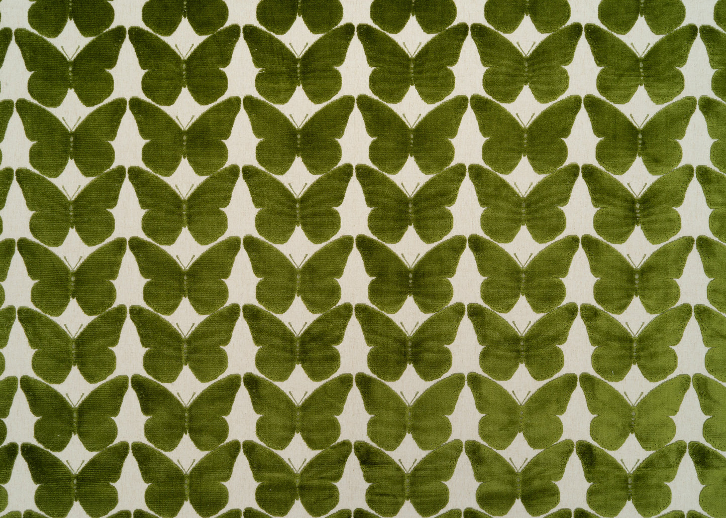 The Coleous Fabric in Kiwi || Yardage