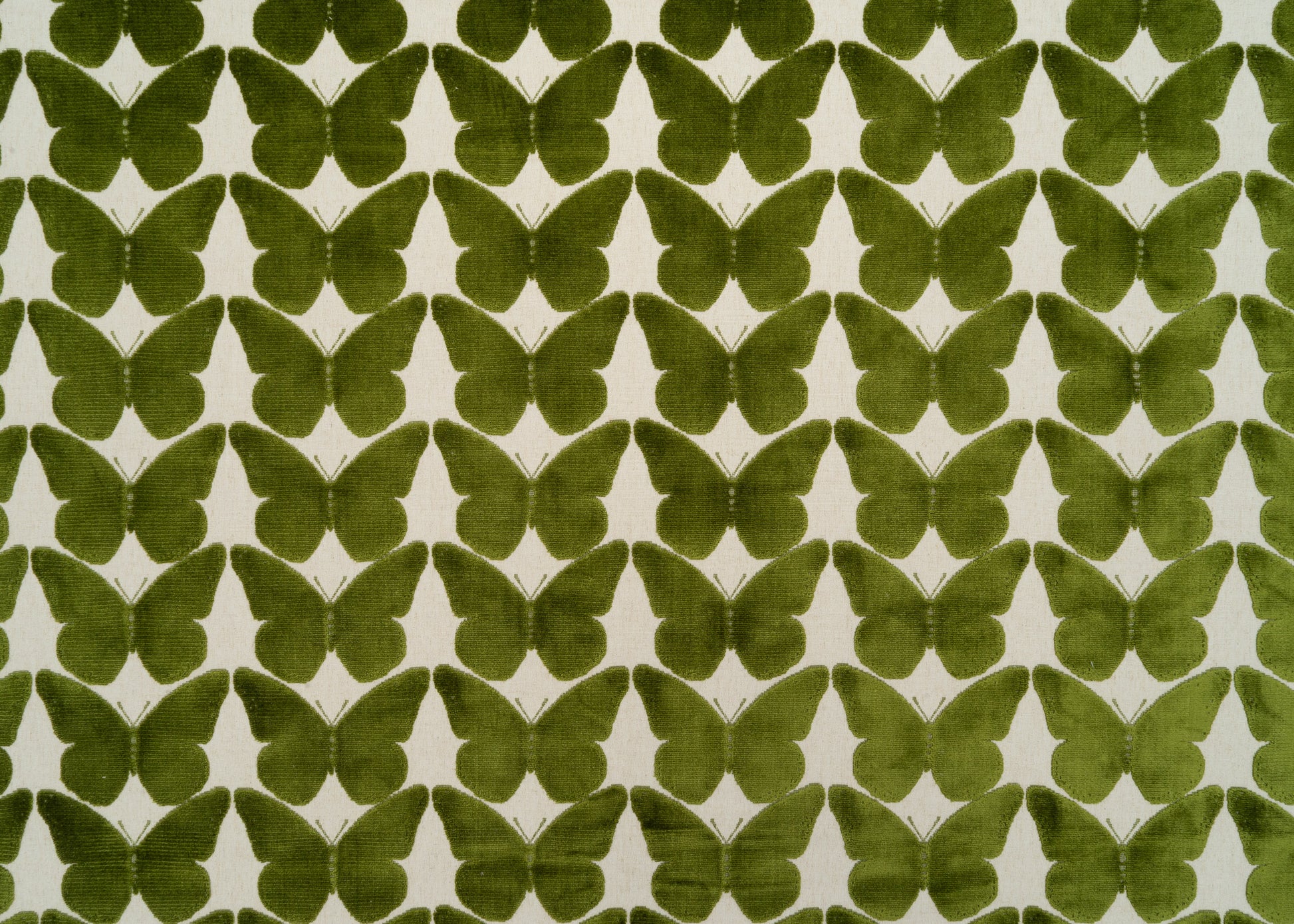 The Coleous Fabric in Kiwi || Yardage
