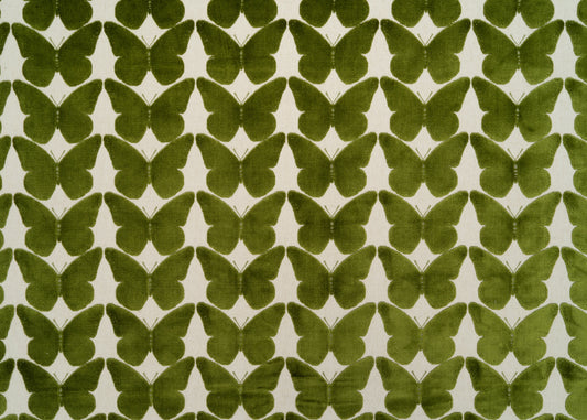 The Coleous Fabric in Kiwi || Yardage