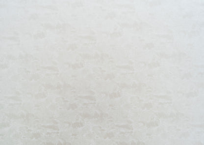 The On Cloud Nine Velvet Fabric in Ivory || Yardage