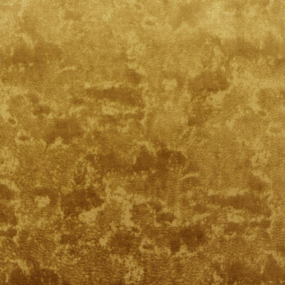 The On Cloud Nine Velvet Fabric in Midas || Close Up