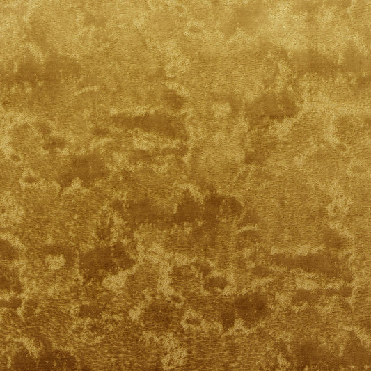 The On Cloud Nine Velvet Fabric in Midas || Close Up