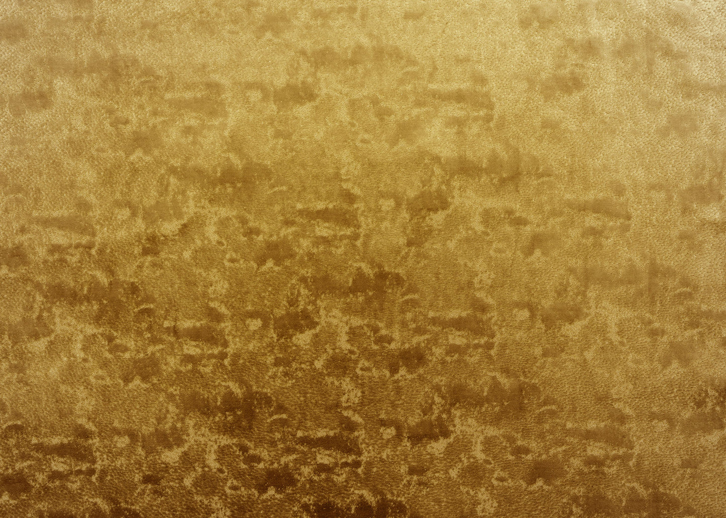 The On Cloud Nine Velvet Fabric in Midas || Yardage