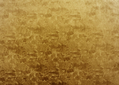 The On Cloud Nine Velvet Fabric in Midas || Yardage
