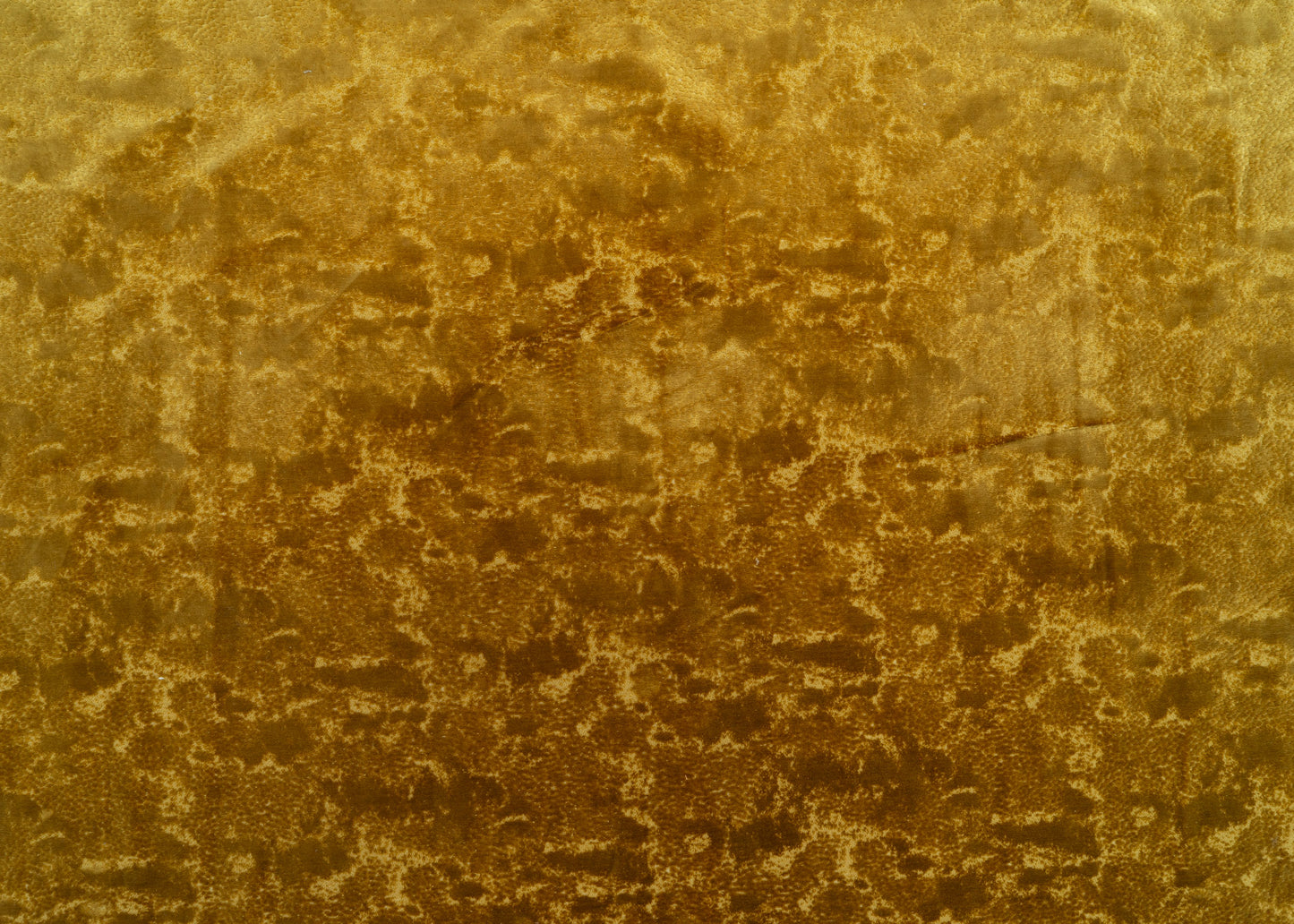 The On Cloud Nine Velvet Fabric in Midas || Yardage