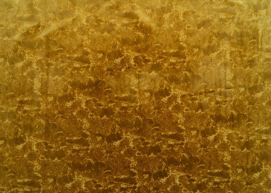 The On Cloud Nine Velvet Fabric in Midas || Yardage