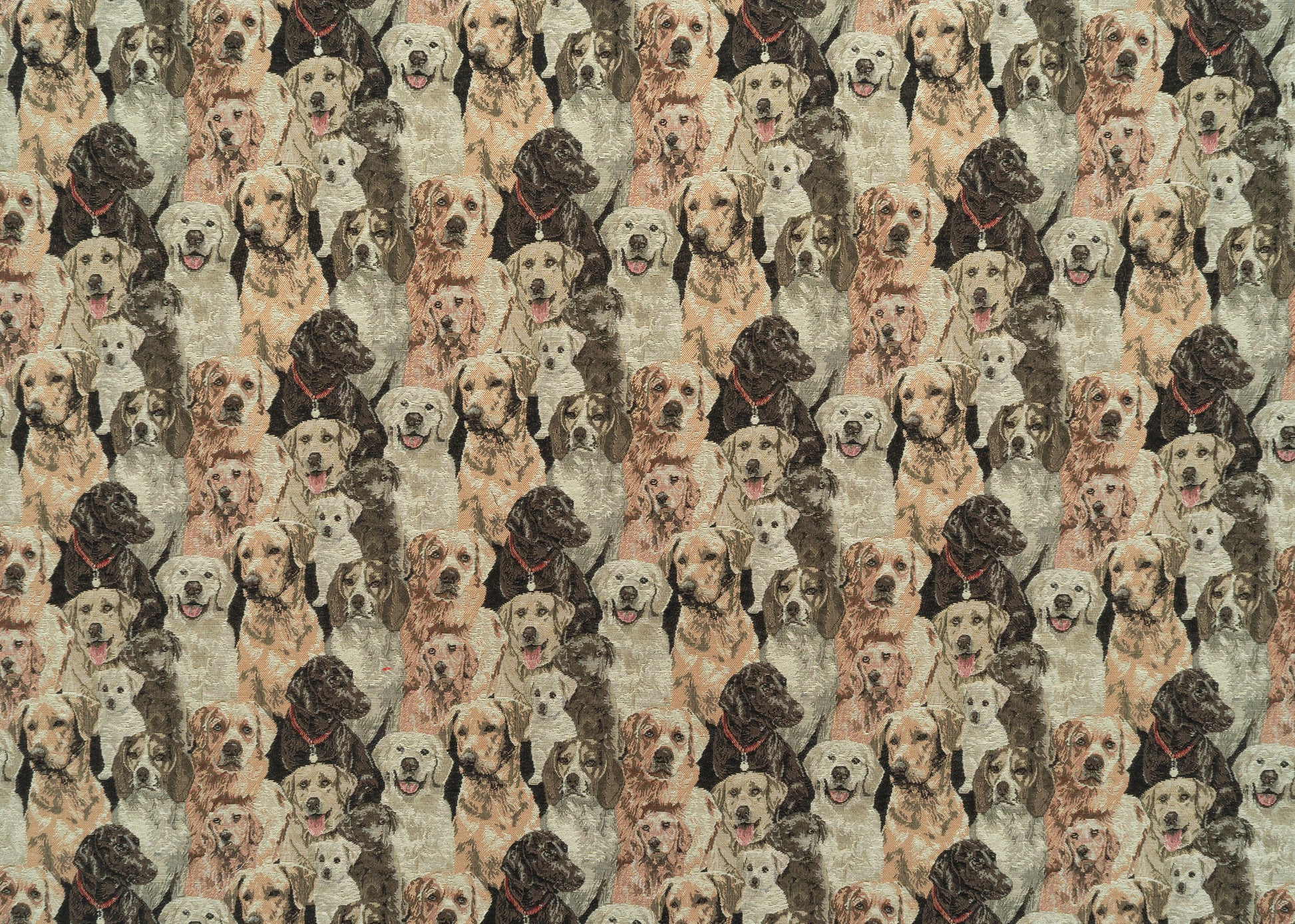 The Rescue Me Fabric in Topcoat || Yardage