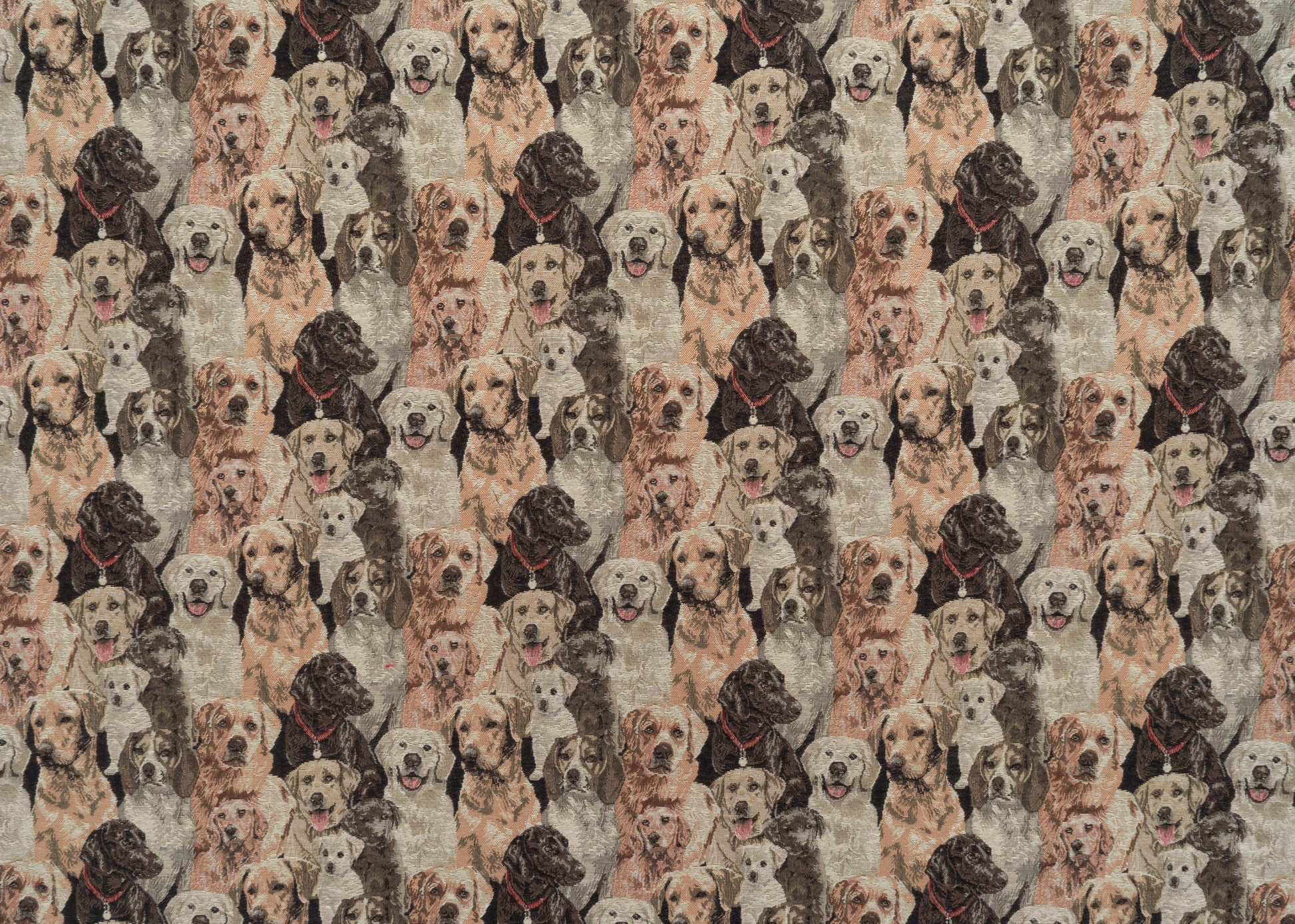 The Rescue Me Fabric in Topcoat || Yardage