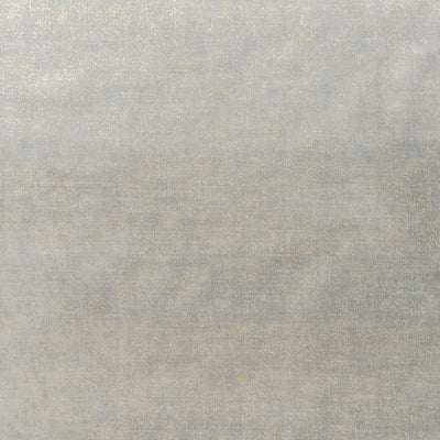 The Shock Velvet Fabric in Ash Gold || Close Up