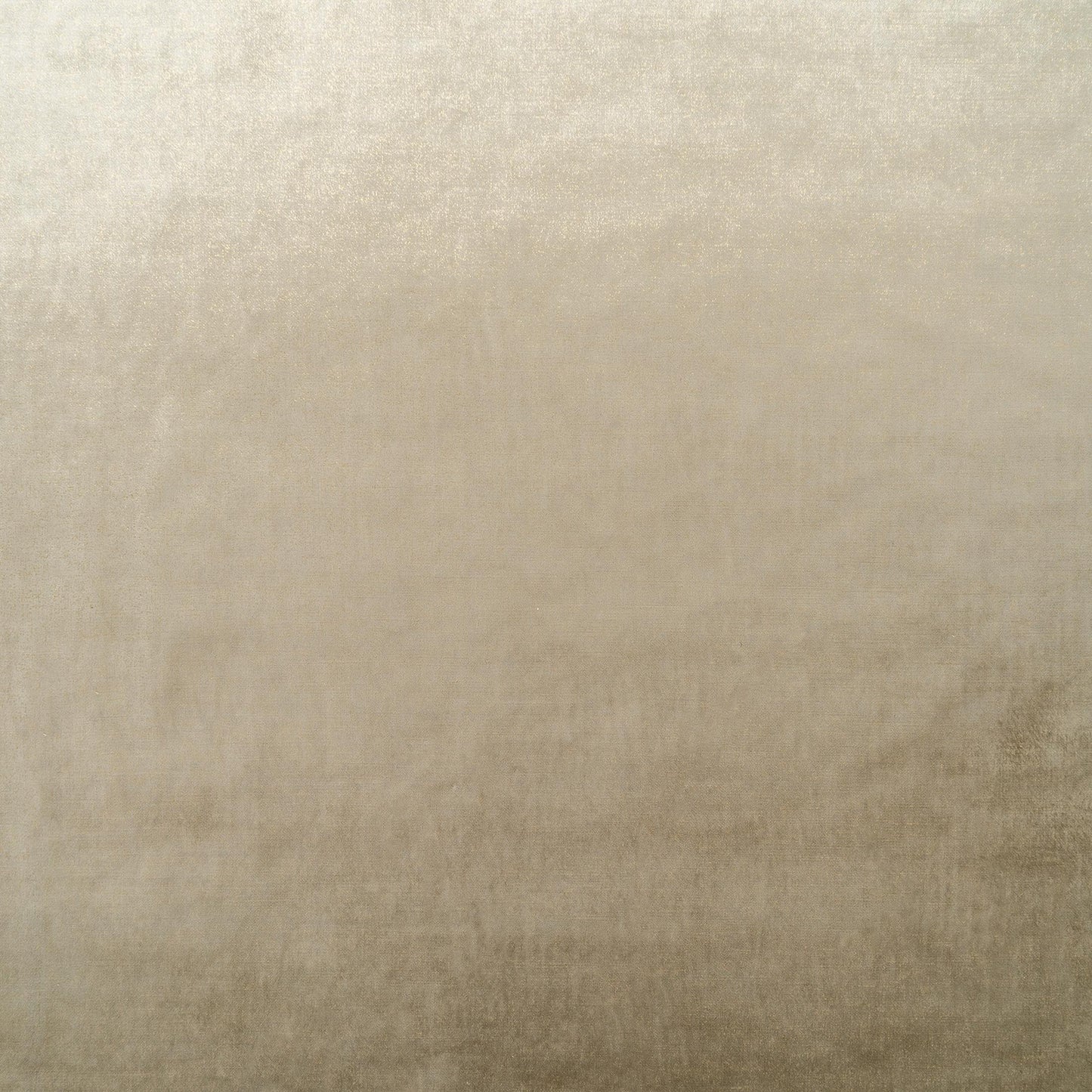 The Shock Velvet Fabric in Golden Taupe || Close Up