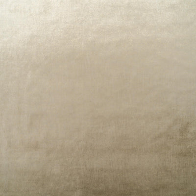 The Shock Velvet Fabric in Golden Taupe || Close Up