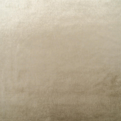 The Shock Velvet Fabric in Golden Taupe || Close Up