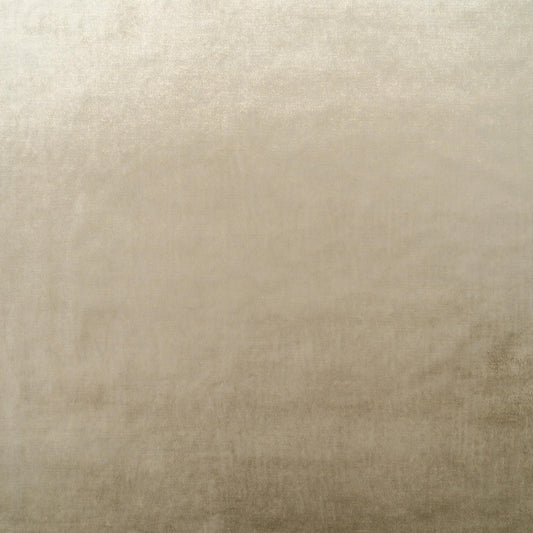 The Shock Velvet Fabric in Golden Taupe || Close Up