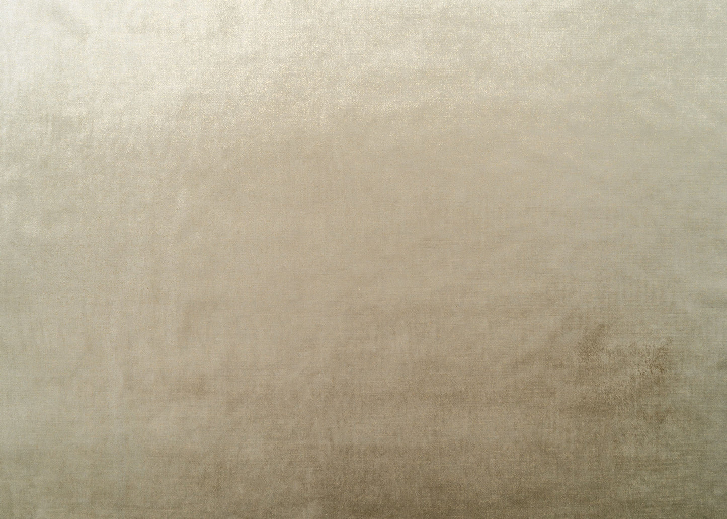 The Shock Velvet Fabric in Golden Taupe || Yardage
