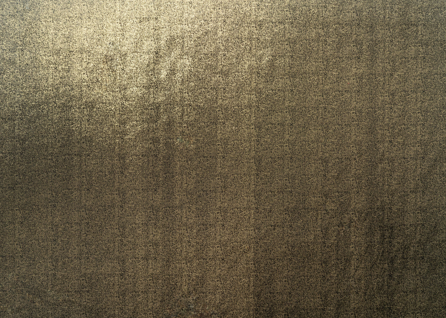 The Shock Velvet Fabric in Jet || Yardage