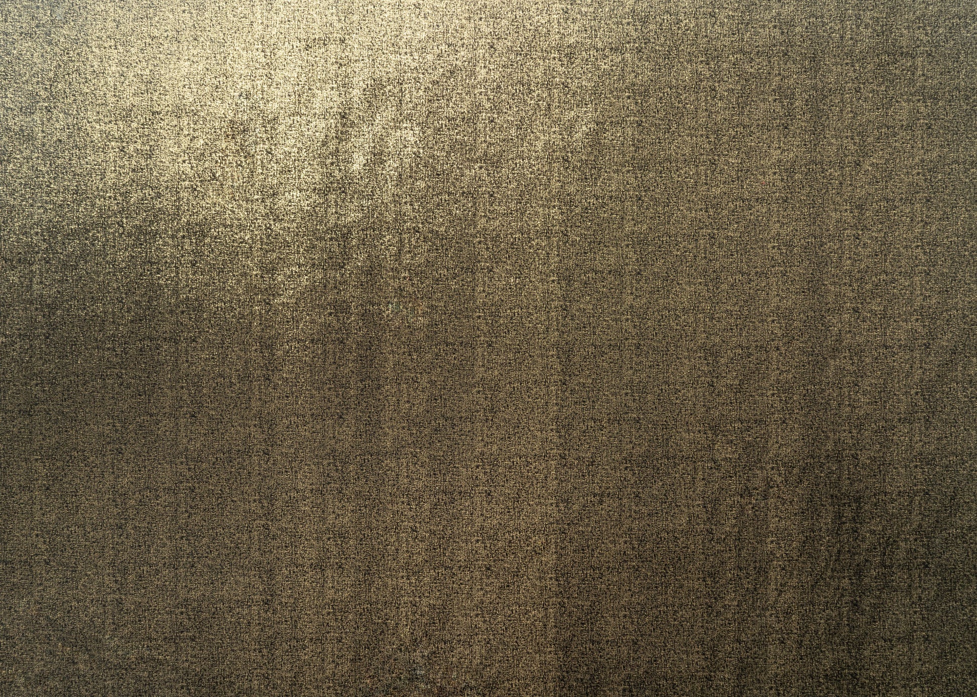 The Shock Velvet Fabric in Jet || Yardage