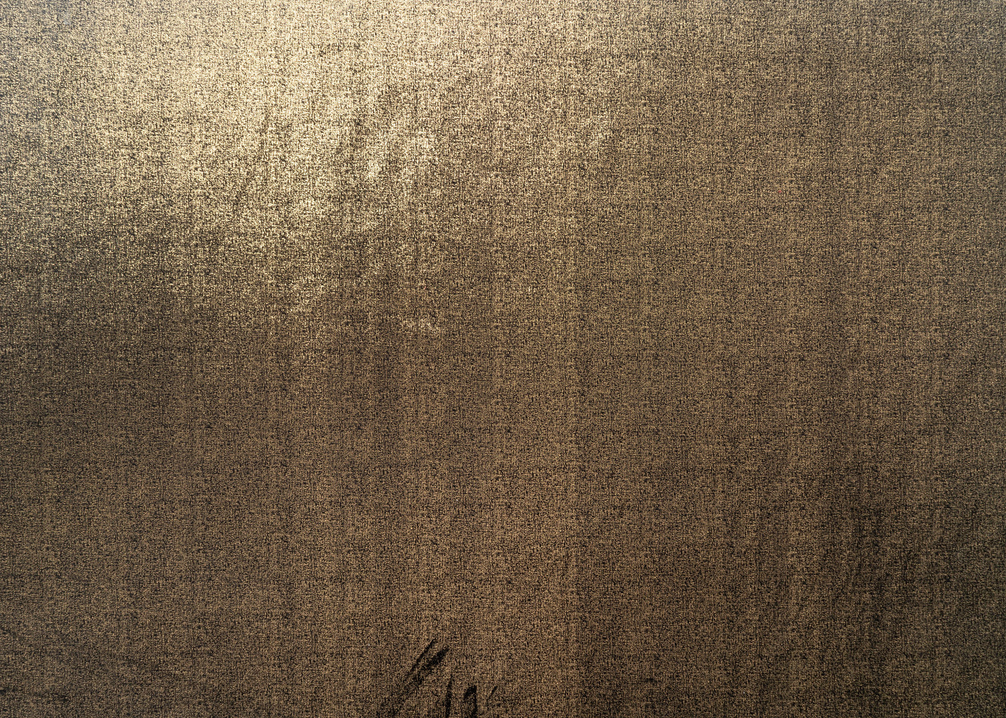 The Shock Velvet Fabric in Jet || Yardage