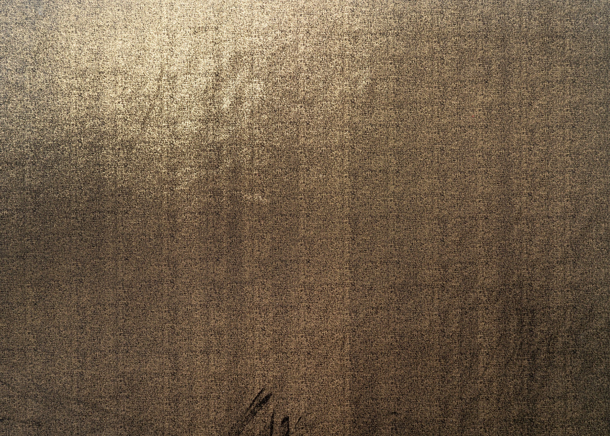 The Shock Velvet Fabric in Jet || Yardage